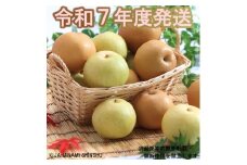 7-J35 【南信州産】豊水・20世紀 ミックス 約2.5kg 太鼓判 各4玉