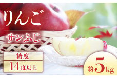 A-4　りんご サンふじ【10～20玉】＜2025年11月下旬発送　先行予約分＞　
