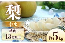 A-2 梨　幸水 約5kg【8～16玉】※2025年発送　先行予約分※