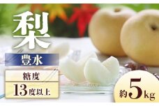 A-3 梨　豊水 約5kg【8～16玉】※2025年発送　先行予約分※