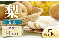 A-30 梨　南水　約5㎏【8～16玉】※2025年発送　先行予約分※
