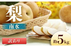 A-31 梨　南水※訳あり品※【8～16玉】約5kg　※2025年発送　先行予約分※