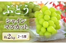 B-2 ＜先行受付＞ぶどう シャインマスカット 約2kg【2～5房】※2025年9月中旬～10月上旬発送予定※