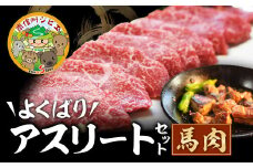B-4 【馬肉】よくばりアスリートセット