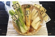 A-21 浅漬けセット