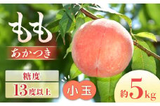 J-1 もも　あかつき 約5kg【小玉 20～22玉】