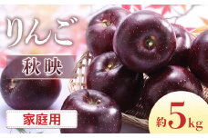 I-2 りんご　秋映 約5kg（10～18玉入り）※家庭用※ ＜2025年発送　先行予約分＞