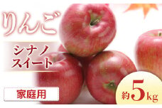 I-3 りんご　シナノスイート 約5kg（10～18玉入り）※ご家庭用※＜2025年発送　先行予約＞