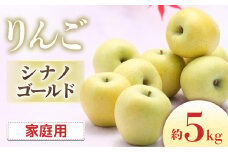 I-4 りんご　シナノゴールド 約5kg（10～18玉入り）※ご家庭用※＜2025年発送　先行予約＞