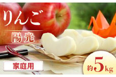 I-5 りんご　陽光 約5㎏（10～18玉入り）※ご家庭用※＜2025年発送　先行予約＞