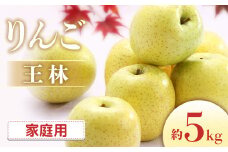 I-6 りんご　王林 約5kg（10～18玉入り）※ご家庭用※＜2025年発送　先行予約＞