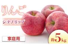 A-60 りんご シナノリップ 約5kg（16～20玉入り）※ご家庭用※＜2025年発送　先行予約＞