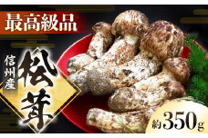 G-2 秋の味覚の王様「松茸」350g以上