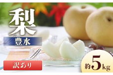 I-14 梨 豊水※訳あり品 ※ 約5kg【8～16玉】※2025年発送　先行予約分※