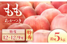 A-69 もも　あかつき＜特秀＞ 約5kg【10～18玉】※2025年発送　先行予約分※ 