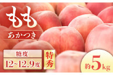 【2026年発送先行予約】桃　あかつき＜秀品＞ 約5kg【10～18玉】※2026年7月下旬～8月初旬発送予定※