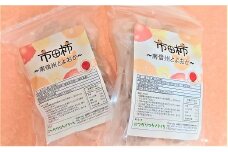 A-81 【市田柿専門店 金の柿】冷凍品 自家用【500g×2】通年発送品