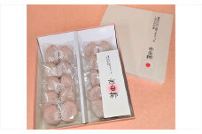 A-88【先行予約受付】【市田柿専門店　金の柿】白箱「秀品」450g(2個包装10袋入り)