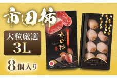 A-93 市田柿 化粧箱 大粒厳選（3L）8粒 ※2026年1月以降発送予定※