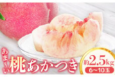 アグリスタくましろのあまーい桃『あかつき』約2.5kg　＜2025年7月中旬～7月下旬発送予定＞