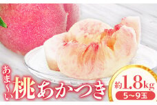 アグリスタくましろのあまーい桃『あかつき』約1.8kg　＜2025年7月中旬～7月下旬発送予定＞
