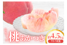 アグリスタくましろのあまーい桃『あかつき』約4.5kg　＜2025年7月中旬～7月下旬発送予定＞