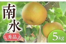 【南信州産】梨　南水5kg　秀品　＜2025年9月中旬～発送開始予定＞　10玉～14玉入り
