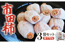 A-112　南信州に伝わる伝統の味「市田柿」170ｇ×3袋セット＜2026年1月上旬～2月下旬発送＞