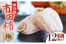 A-110　信州の特産品「市田柿・極」贈答用2Lサイズ（12個入）＜2026年1月上旬～2月下旬発送＞