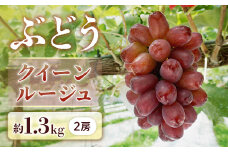 B-11 ＜先行受付＞ ぶどう クイーンルージュ約1.3㎏【2房】※2025年9月中旬～9月下旬発送予定※