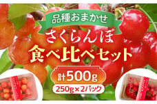 A-117【2025年6月から発送予定】さくらんぼ食べ比べセット 500g＜さくらんぼ2種入り　各250g＞　先行予約　さくらんぼ