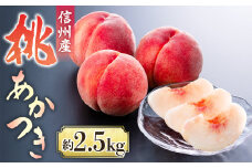 A-114【2025年7月中旬より発送予定】桃　あかつき 約2.5kg【6～10玉】※2025年発送先行予約分※　農家直送　もも