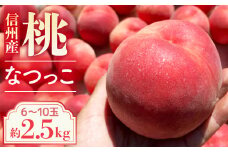 A-115【2025年7月中旬より発送予定】桃 なつっこ 約2.5kg【6～10玉】※2025年発送先行予約分※　農家直送　もも