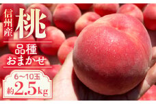 A-116【2025年7月より発送予定】※品種おまかせ※ 初夏の桃 約2.5kg【6～10玉】※2025年発送先行予約分※　農家直送　もも　桃