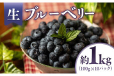 A-118　生ブルーベリー 約1kg（100g×10パック）＜2025年発送　先行予約＞