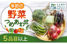 【5品目以上】季節の野菜詰め合わせ