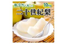 【2025年9月中旬頃発送予定】青梨の代表格 南信州産 二十世紀梨 約10kg(箱入)