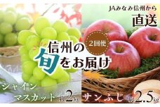 南信州産　人気果実の返礼品セット　＜シャインマスカット＞＜サンふじ＞　2回発送