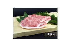 銘撰木曽牛サーロイン(ステーキカット)約250g×3枚【1515995】