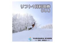 やぶはら高原スキー場 リフト大人1日引換券【1513063】