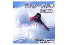 やぶはら高原スキー場 大人シーズン券 引換券【1516844】