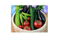 ＜地元で採れた野菜＞源気屋　高原野菜セット【1507579】