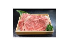 銘撰木曽牛ロース肉(うす切り)約500g【1516001】