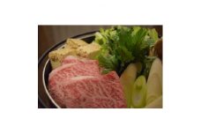 銘撰木曽牛もも肉(うす切り)約500g【1516004】