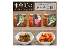 木曽町のおいしいセット～其の弐～　野沢菜・赤かぶキムチセット　【1390042】