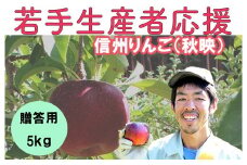 若手生産者応援 りんご （秋映） 贈答用 5㎏ 数量限定 先行予約 川上啓介 果物 フルーツ 長野県 麻績村 麻績 信州