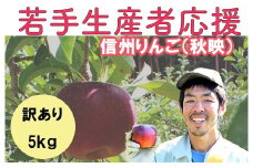 若手生産者応援 りんご （秋映） 訳あり 5㎏ 数量限定 先行予約 川上啓介 果物 フルーツ 家庭用 長野県 麻績村 麻績 信州