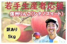 若手生産者応援 りんご （シナノスイート） 訳あり 5㎏ 数量限定 先行予約 川上啓介 果物 フルーツ 家庭用 長野県 麻績村 麻績 信州