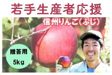 若手生産者応援 りんご （ふじ） 贈答用 5㎏ 数量限定 先行予約 川上啓介 果物 フルーツ 長野県 麻績村 麻績 信州