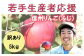 個体差がございますので、写真のりんごはイメージとなります。